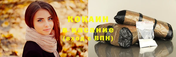 молекула духа Арсеньев