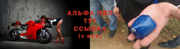молекула духа Арсеньев