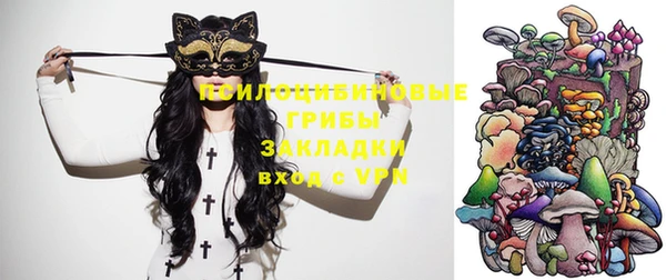 молекула духа Арсеньев