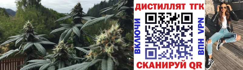 Дистиллят ТГК Wax  Чулым 